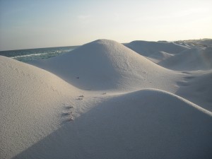Dunes at Fort Pickens Beach. Photo R Anderson