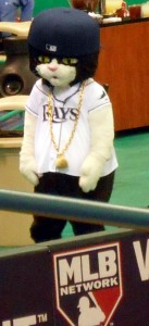 Time will tell if DJ Kitty and the Tampa Bay Rays make it back to the postseason for the for the fourth time in five years. Photo R. Anderson